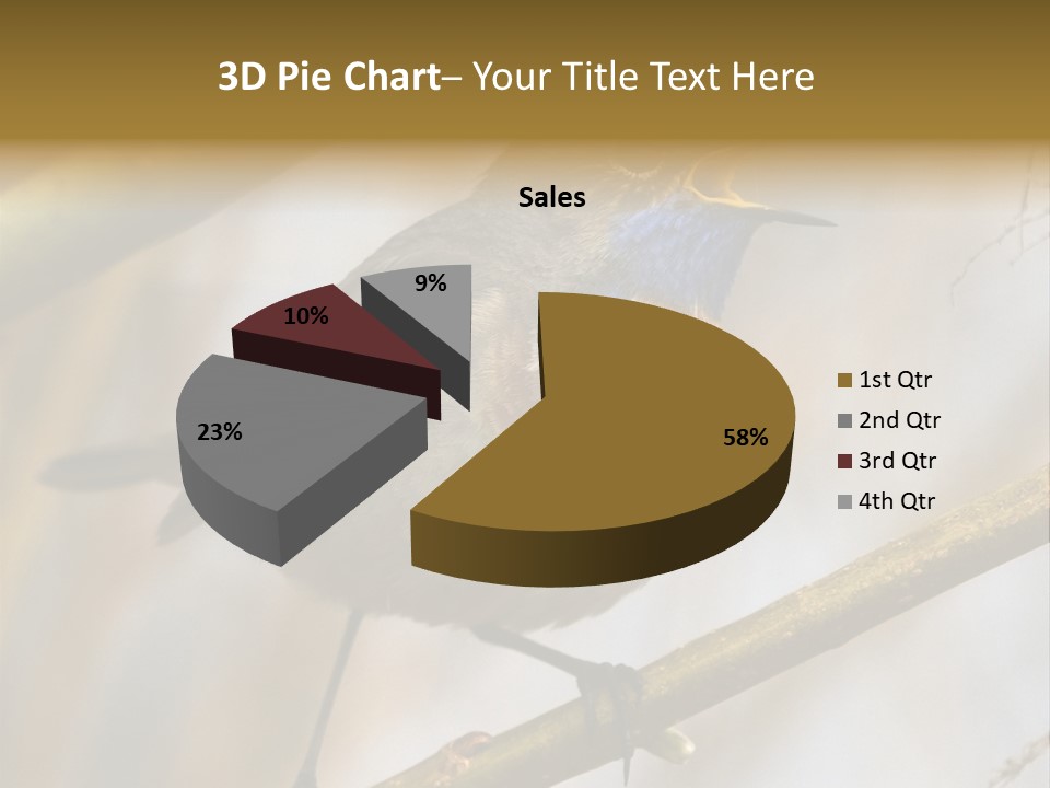 Beak Sitting Spot PowerPoint Template