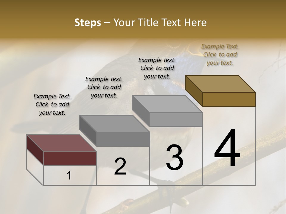 Beak Sitting Spot PowerPoint Template