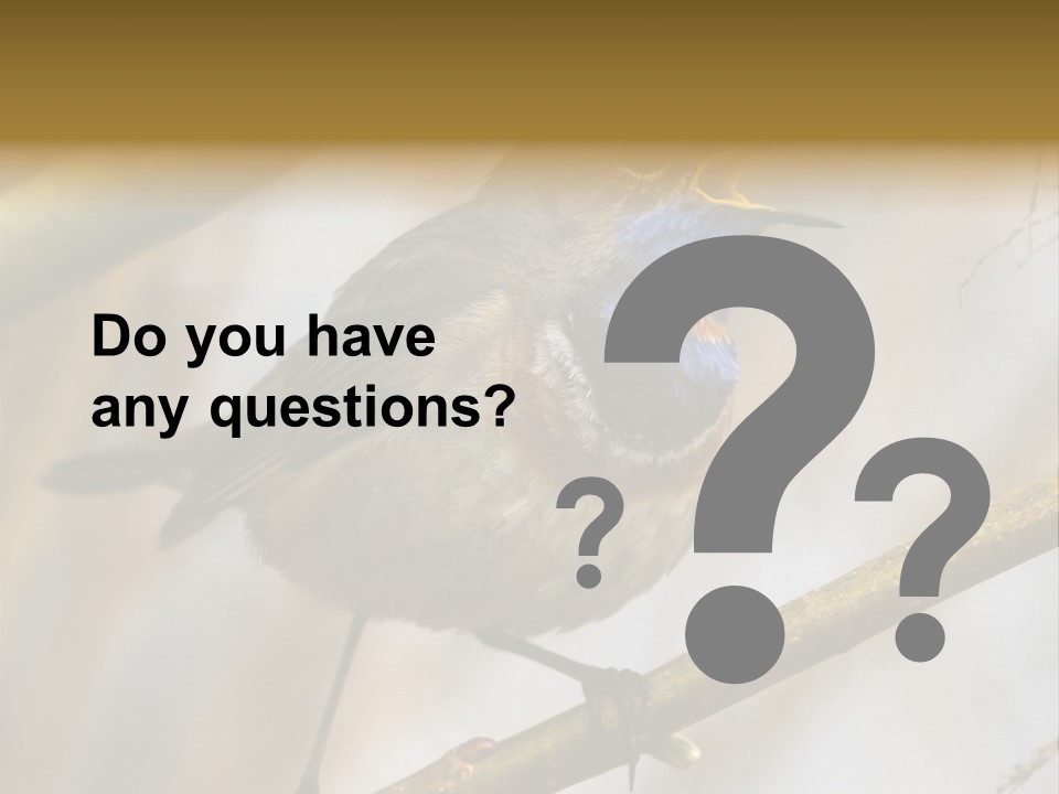 Beak Sitting Spot PowerPoint Template