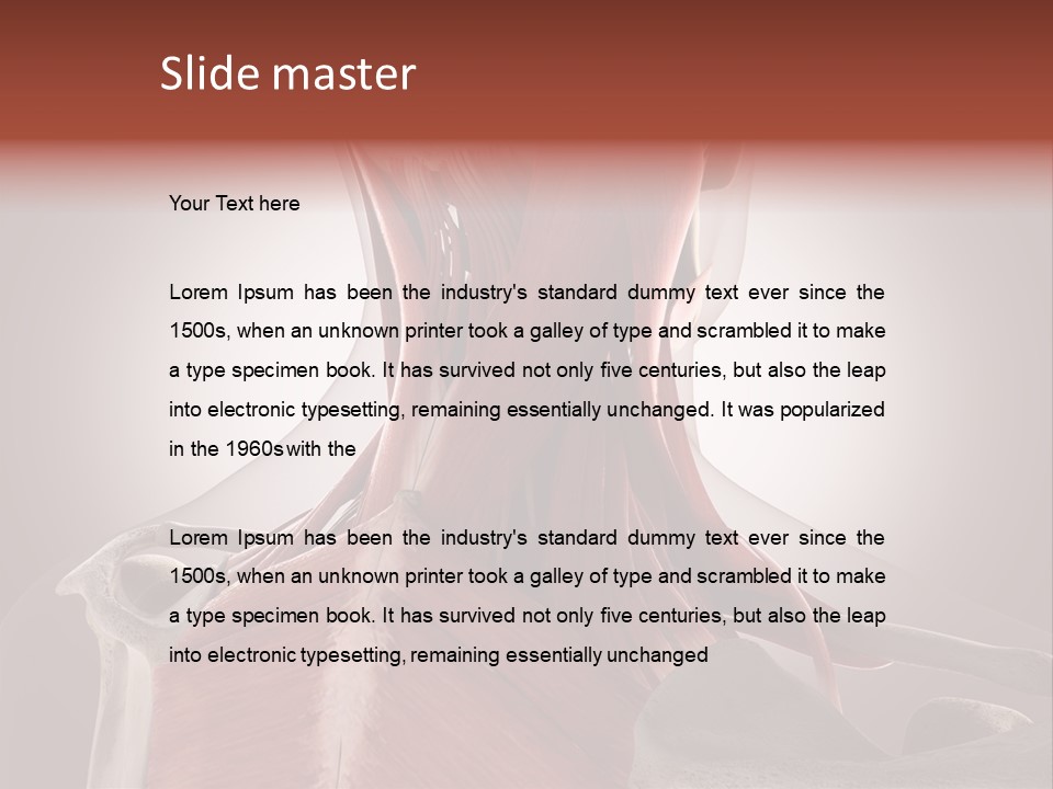 System Athlete Muslces PowerPoint Template