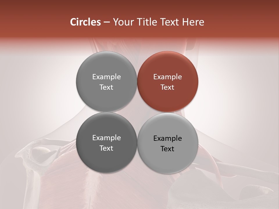 System Athlete Muslces PowerPoint Template