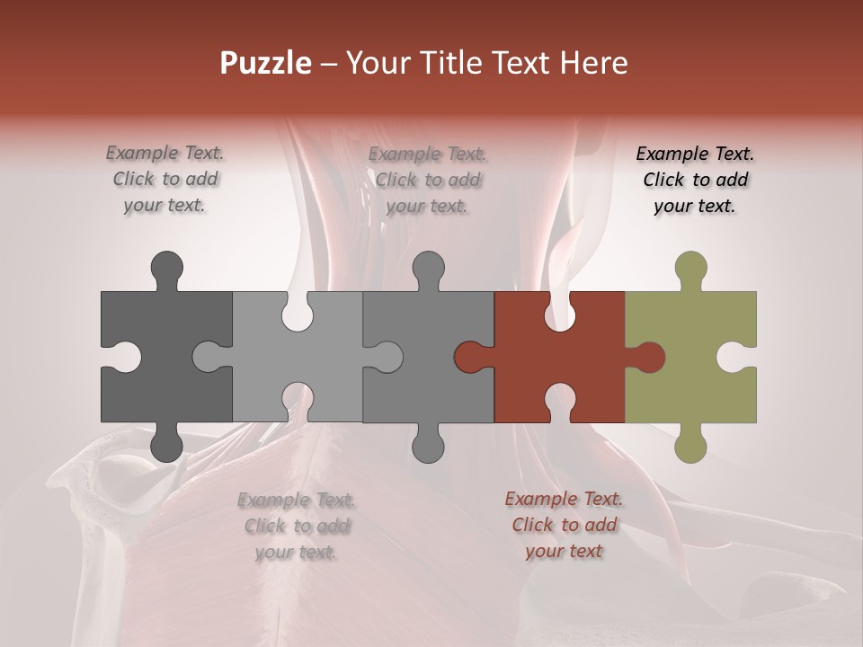 System Athlete Muslces PowerPoint Template