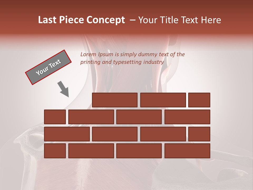 System Athlete Muslces PowerPoint Template