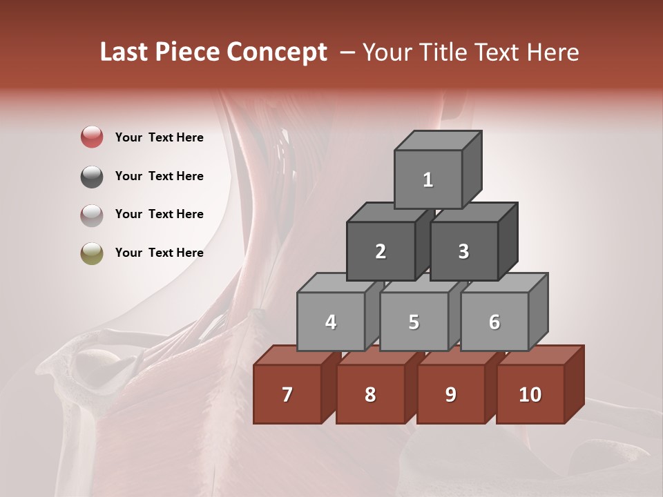 System Athlete Muslces PowerPoint Template