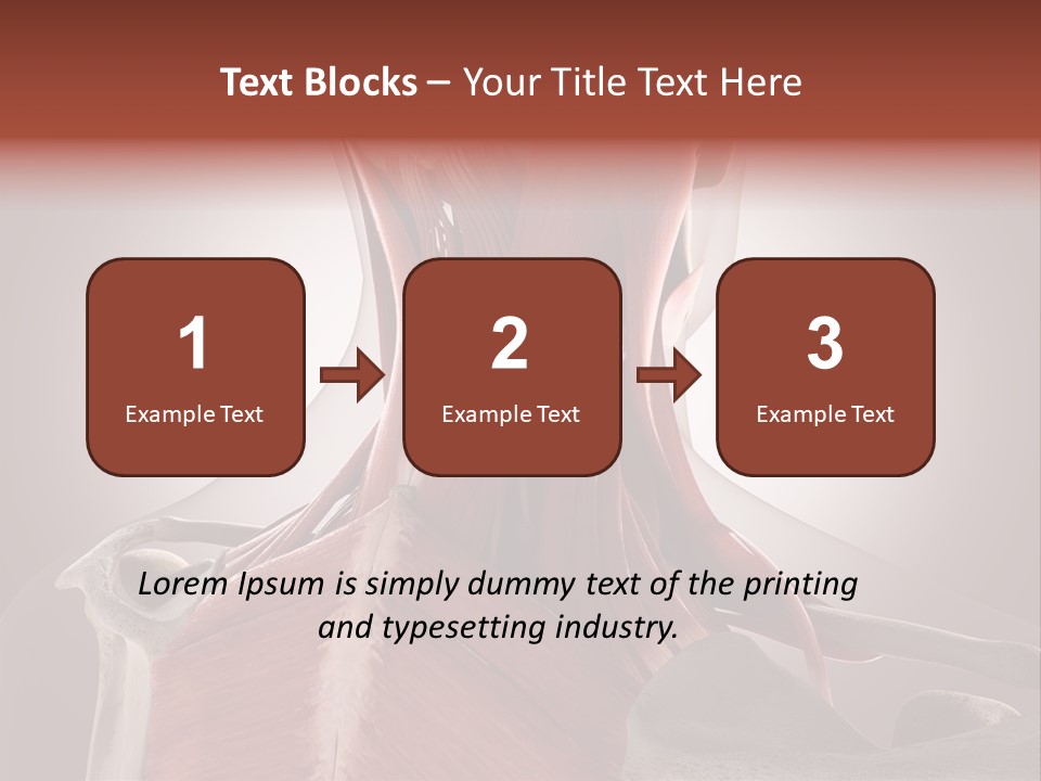 System Athlete Muslces PowerPoint Template