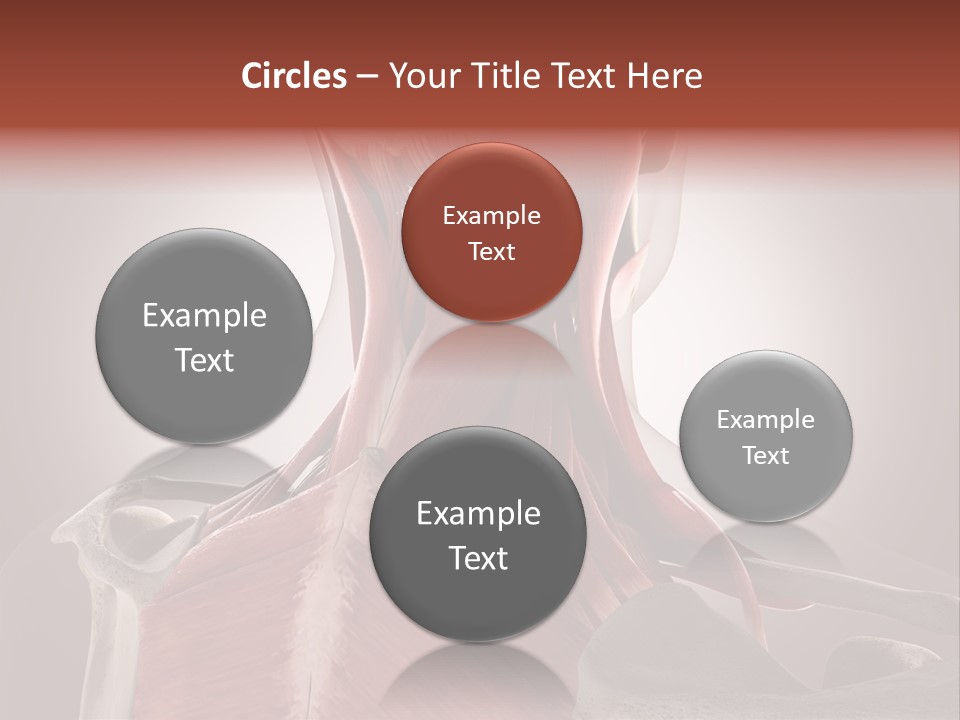 System Athlete Muslces PowerPoint Template