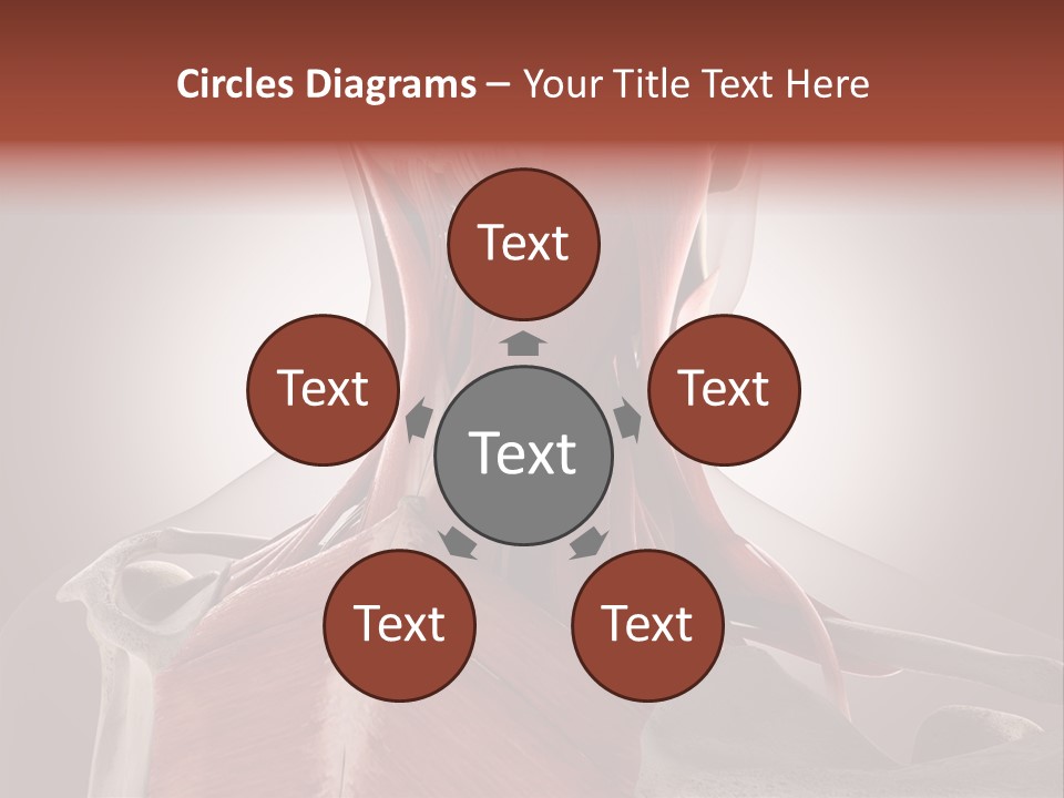 System Athlete Muslces PowerPoint Template