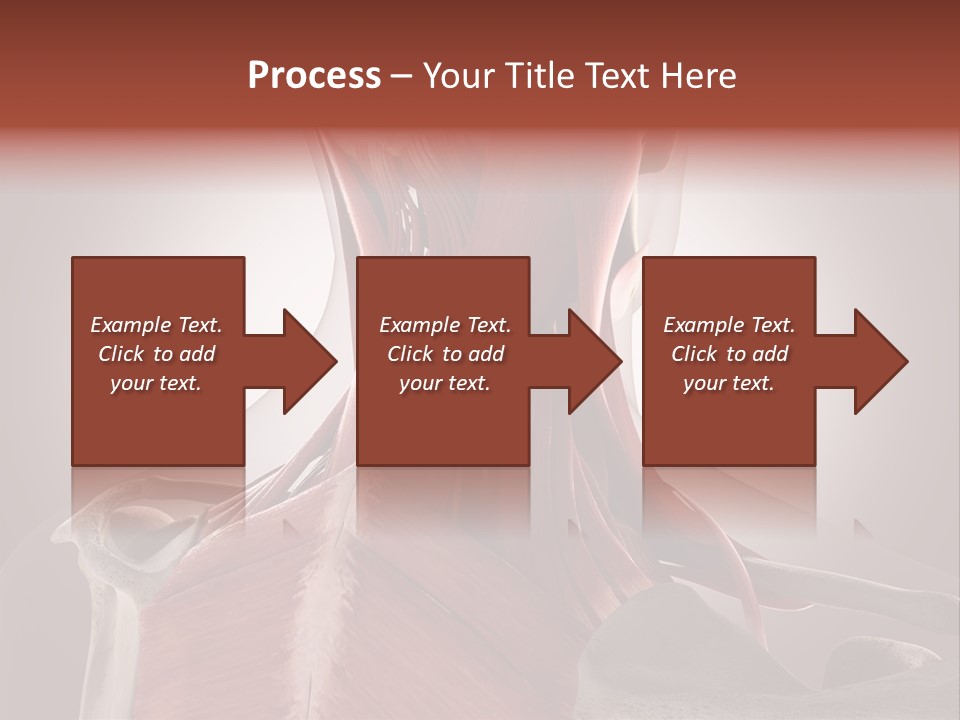 System Athlete Muslces PowerPoint Template