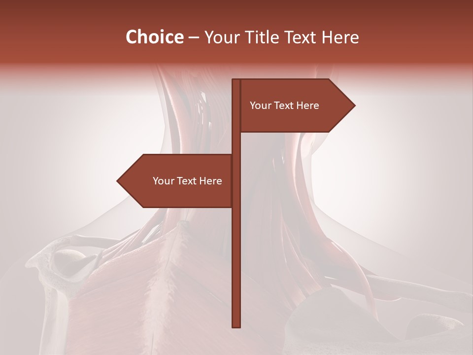 System Athlete Muslces PowerPoint Template