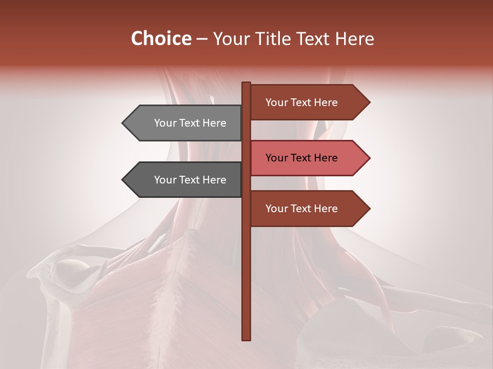 System Athlete Muslces PowerPoint Template