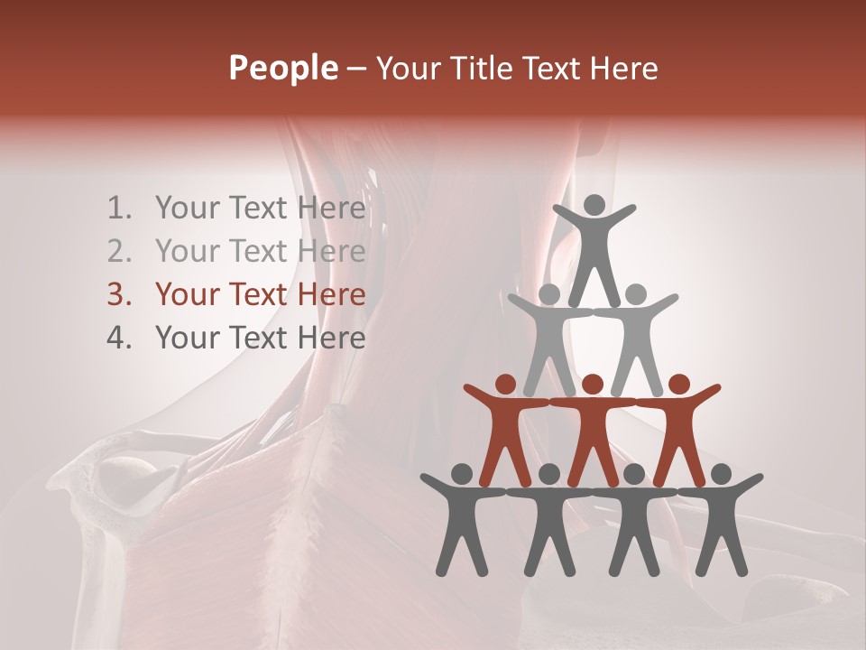 System Athlete Muslces PowerPoint Template