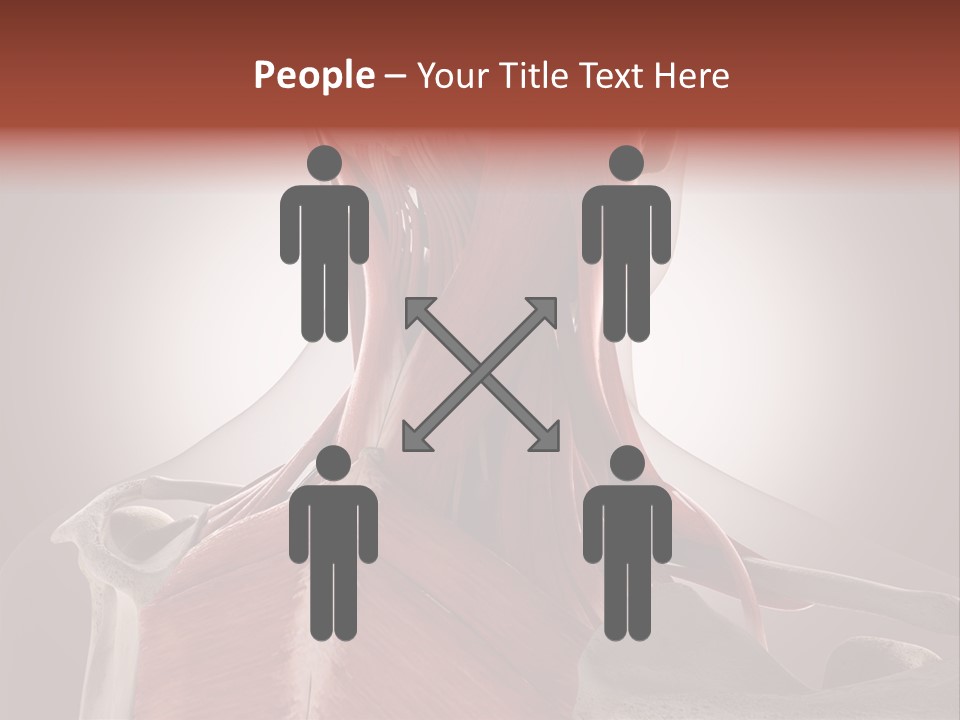 System Athlete Muslces PowerPoint Template