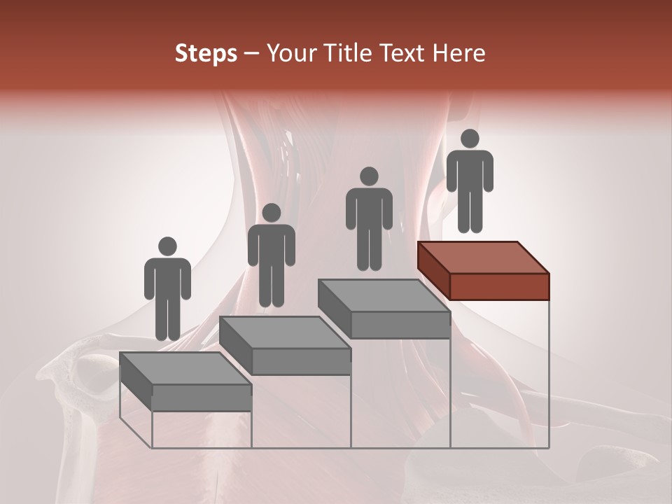 System Athlete Muslces PowerPoint Template