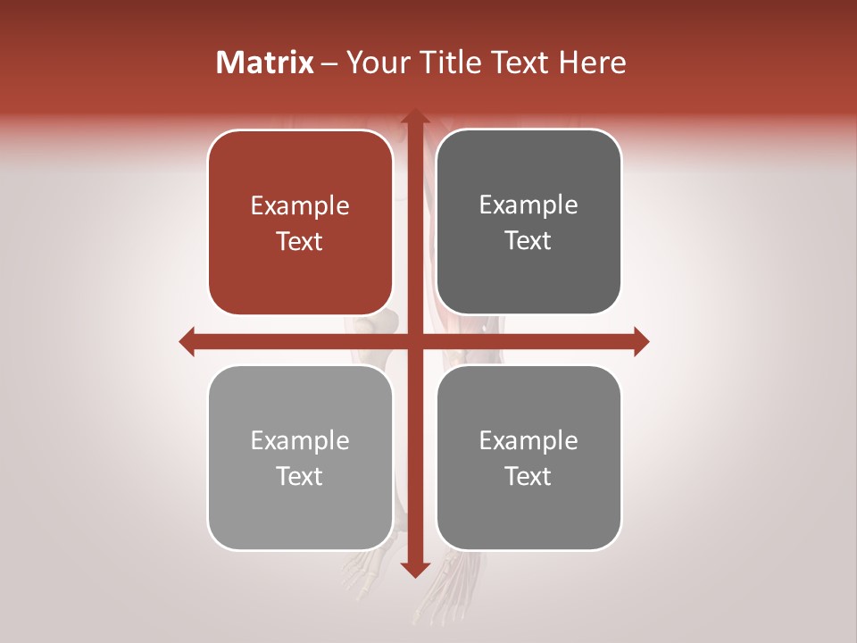 Skin Flesh Nature PowerPoint Template