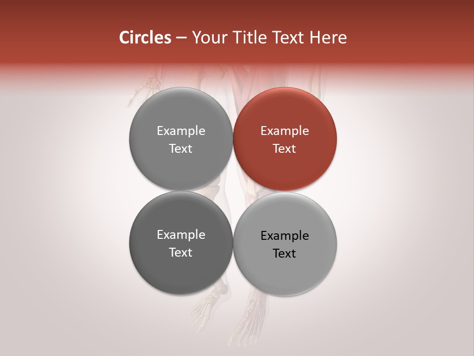 Skin Flesh Nature PowerPoint Template