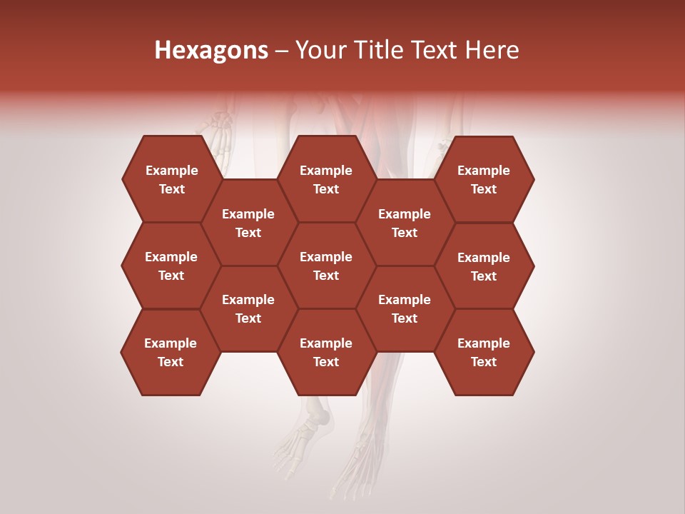 Skin Flesh Nature PowerPoint Template