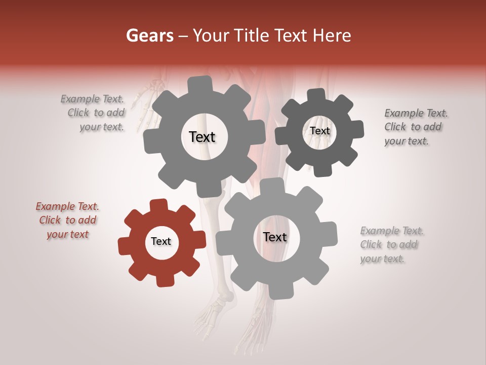 Skin Flesh Nature PowerPoint Template