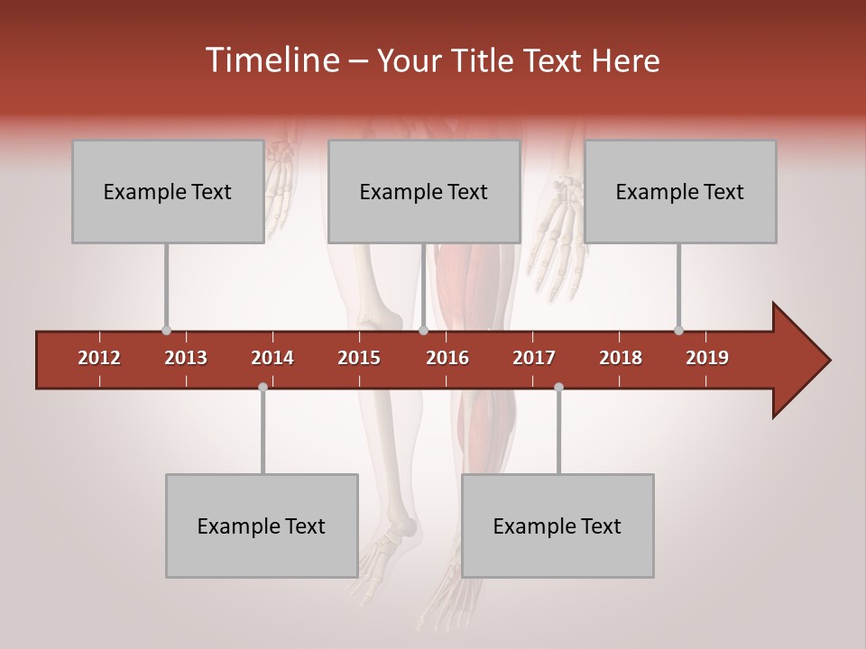 Skin Flesh Nature PowerPoint Template
