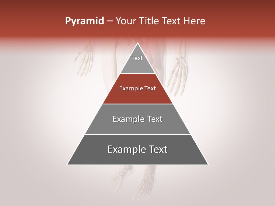 Skin Flesh Nature PowerPoint Template