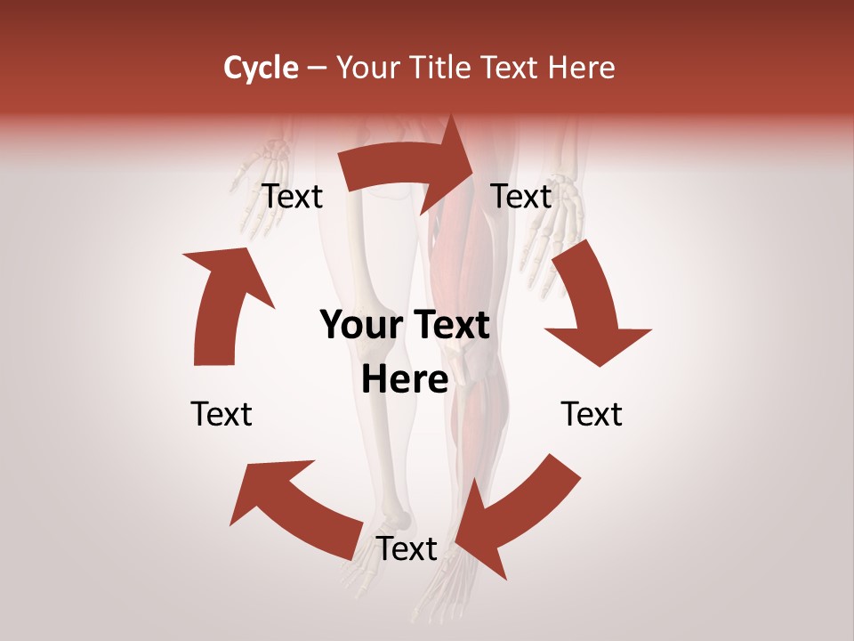 Skin Flesh Nature PowerPoint Template