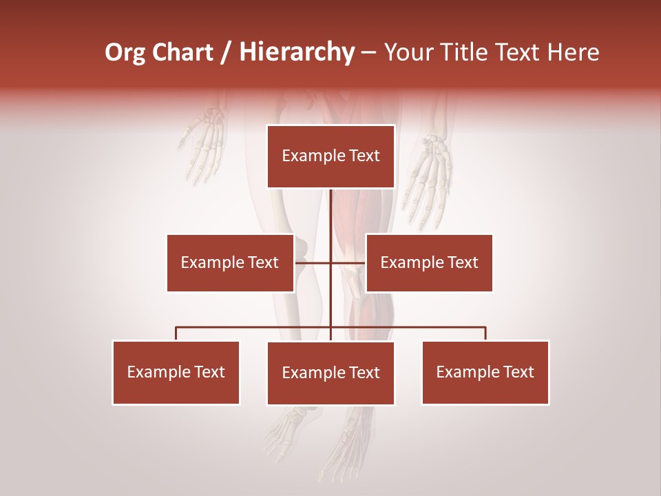 Skin Flesh Nature PowerPoint Template