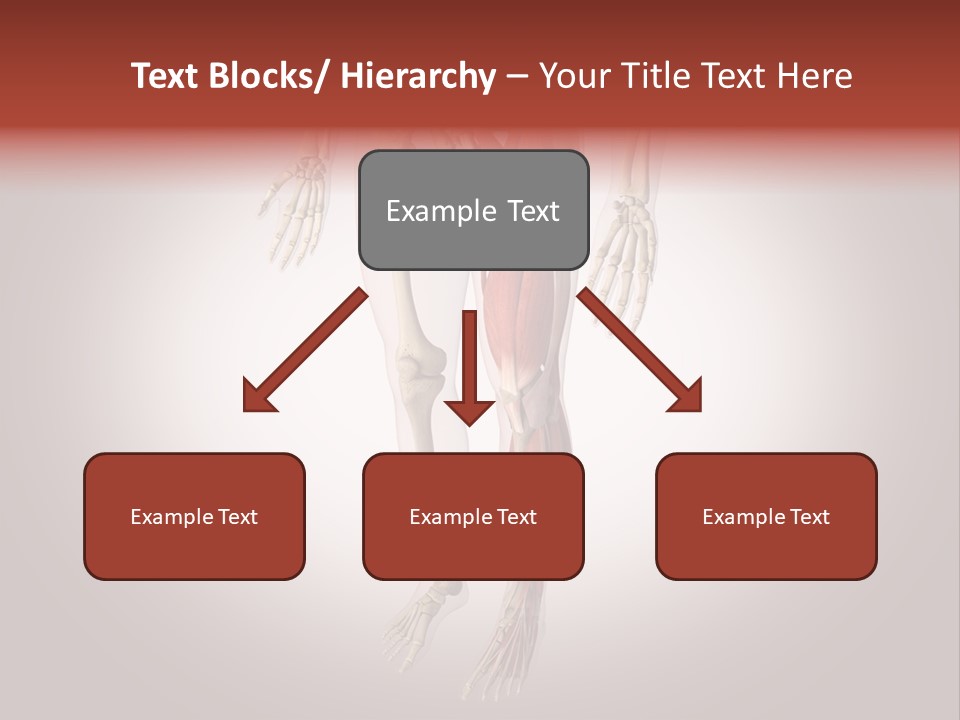 Skin Flesh Nature PowerPoint Template