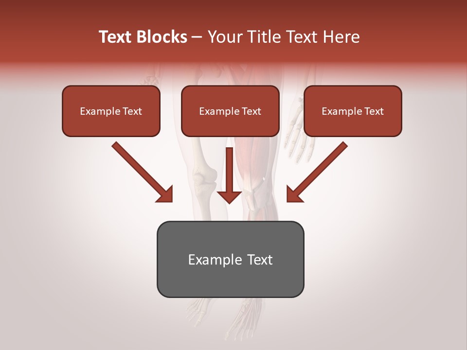 Skin Flesh Nature PowerPoint Template