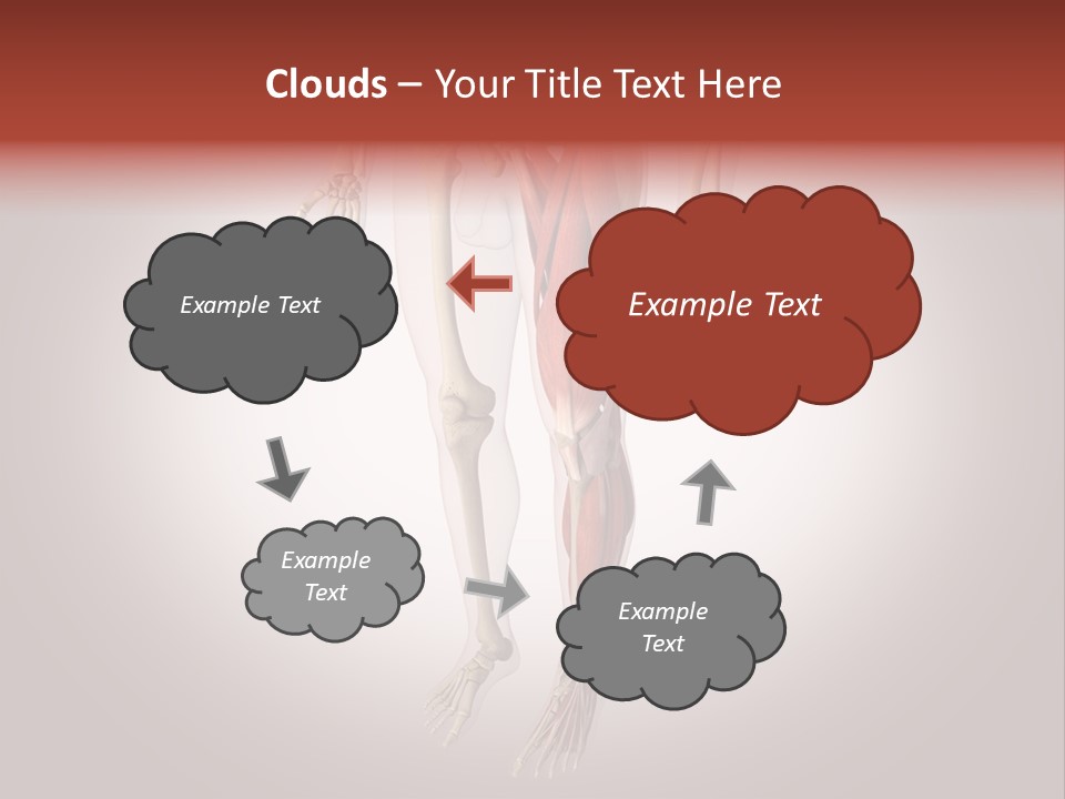 Skin Flesh Nature PowerPoint Template