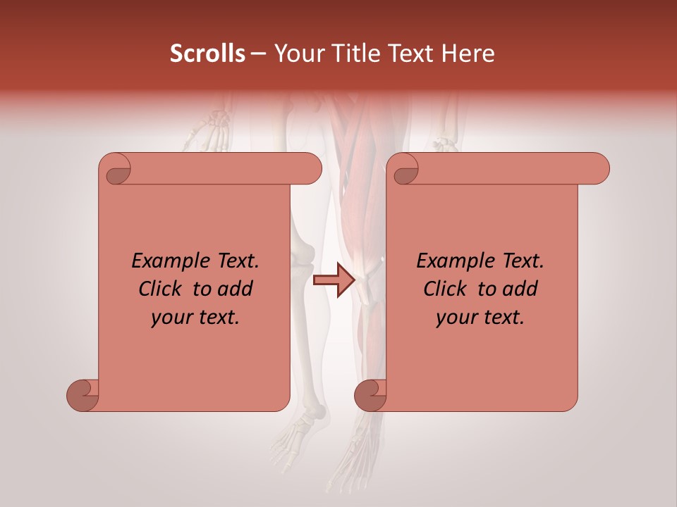Skin Flesh Nature PowerPoint Template