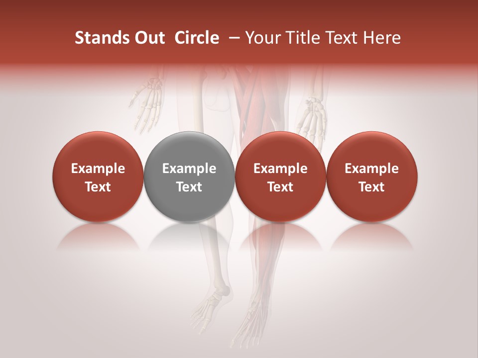 Skin Flesh Nature PowerPoint Template