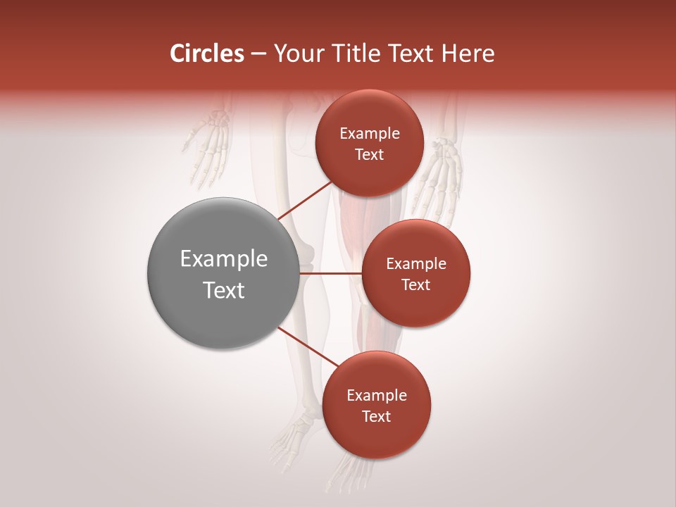 Skin Flesh Nature PowerPoint Template