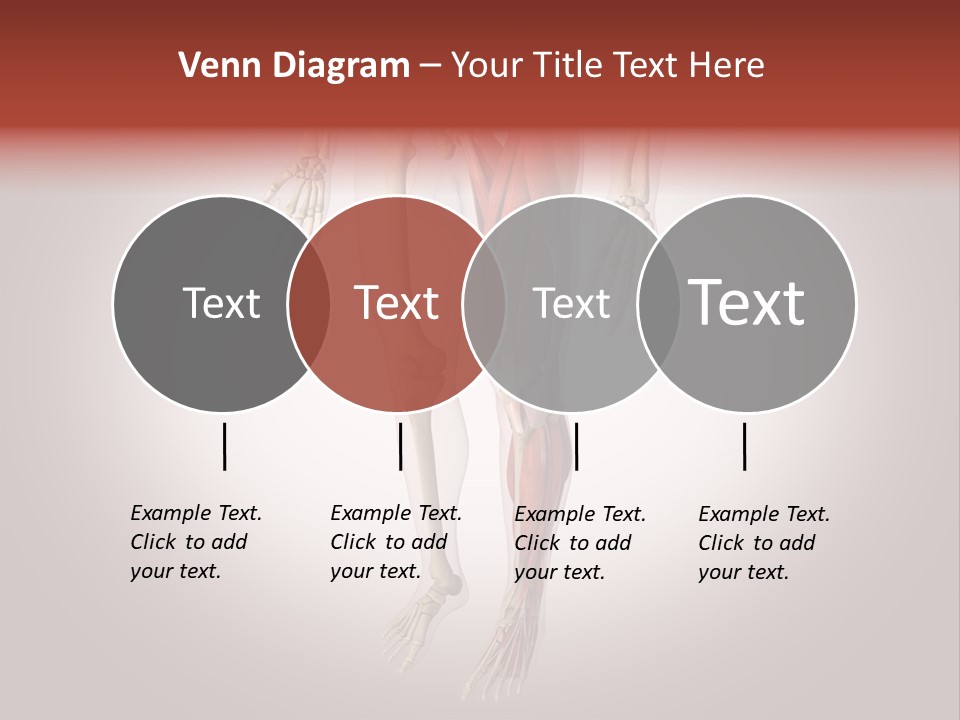 Skin Flesh Nature PowerPoint Template