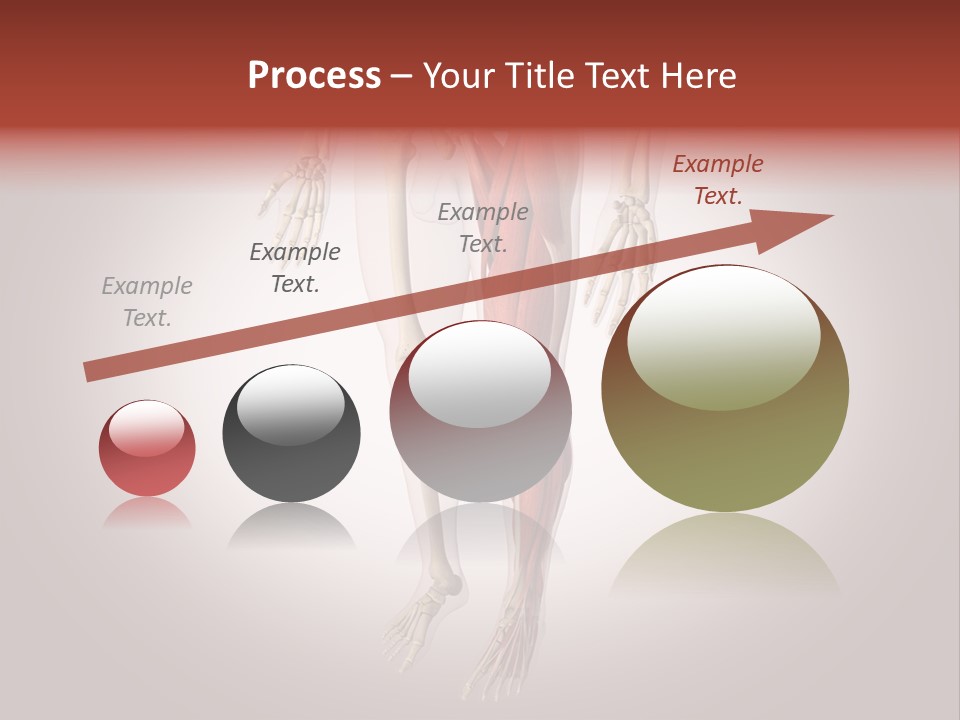 Skin Flesh Nature PowerPoint Template