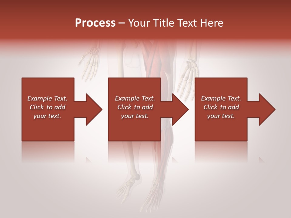 Skin Flesh Nature PowerPoint Template