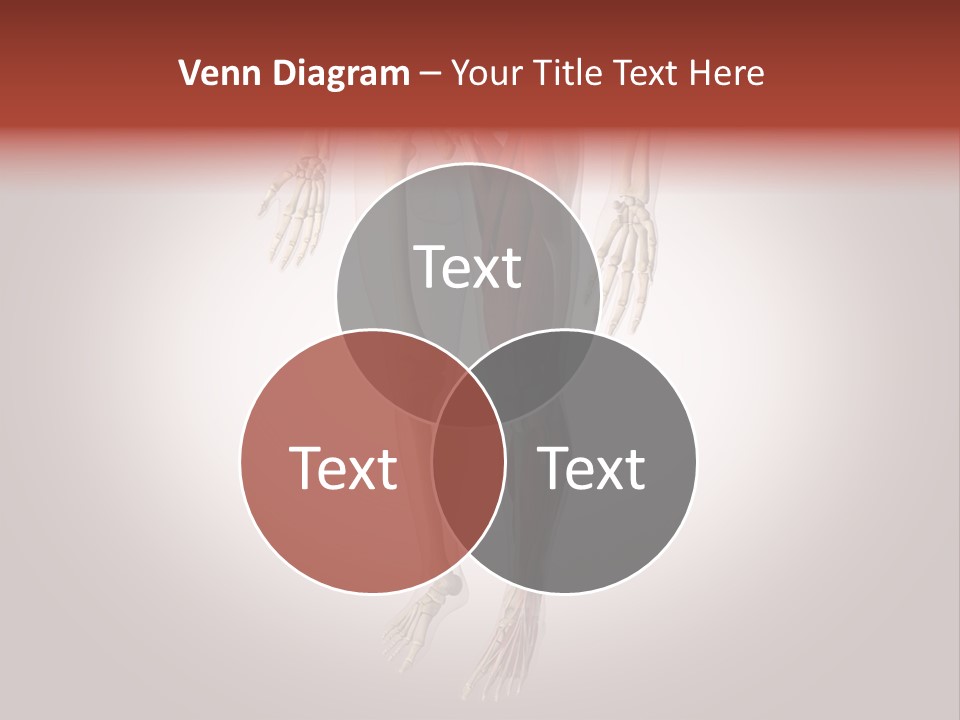 Skin Flesh Nature PowerPoint Template