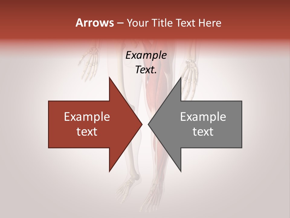 Skin Flesh Nature PowerPoint Template