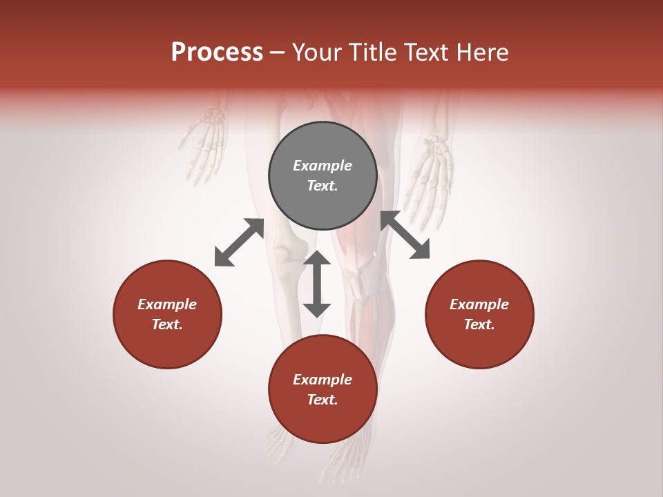 Skin Flesh Nature PowerPoint Template