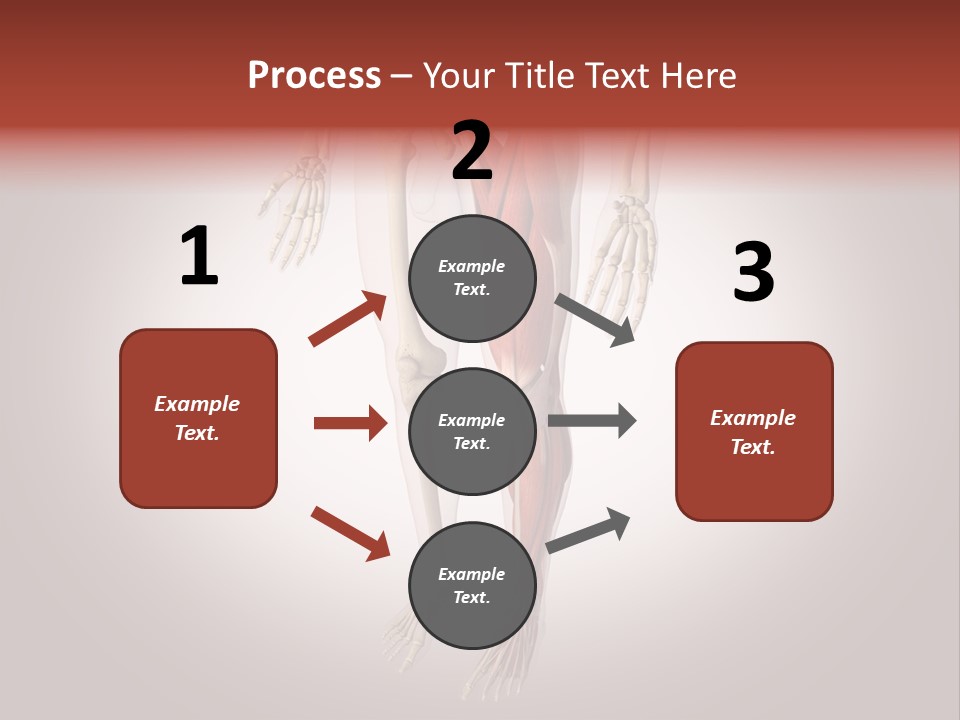Skin Flesh Nature PowerPoint Template