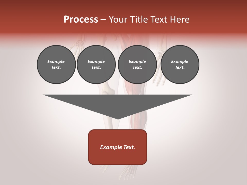 Skin Flesh Nature PowerPoint Template