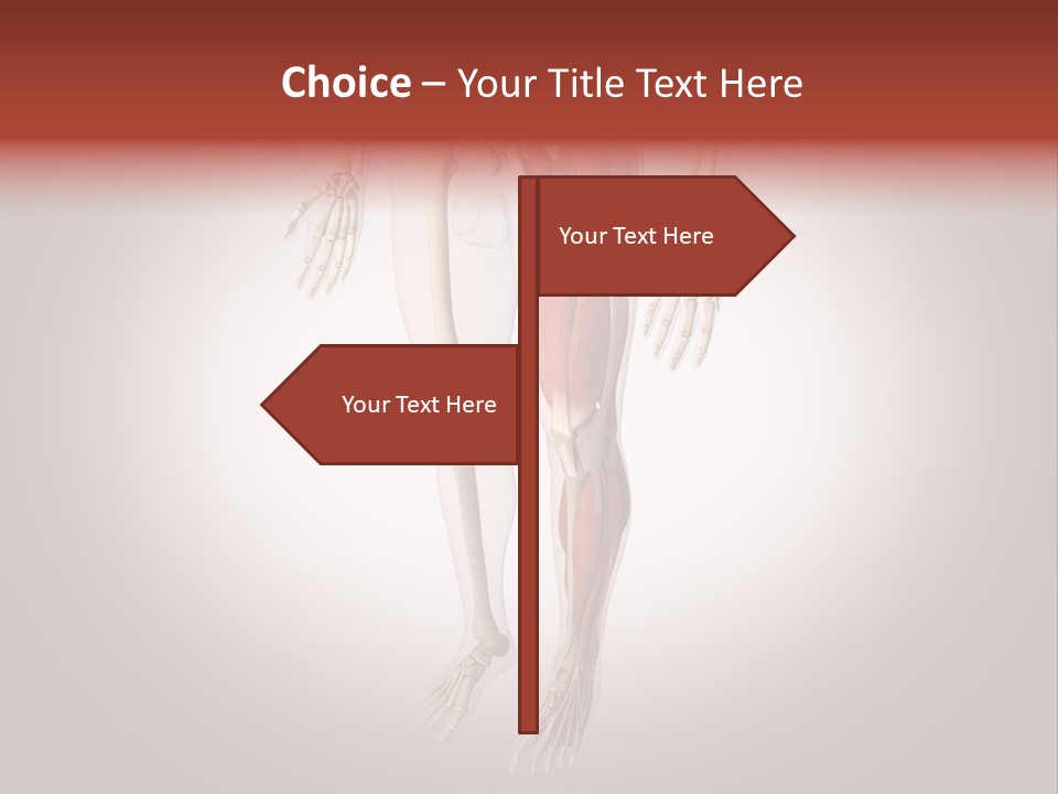 Skin Flesh Nature PowerPoint Template