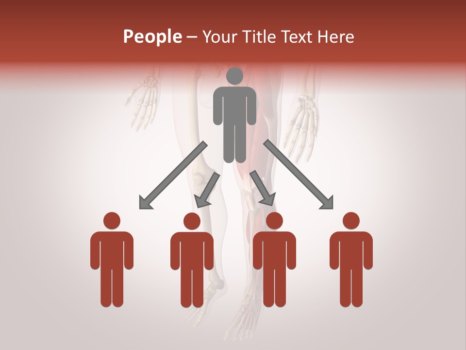 Skin Flesh Nature PowerPoint Template