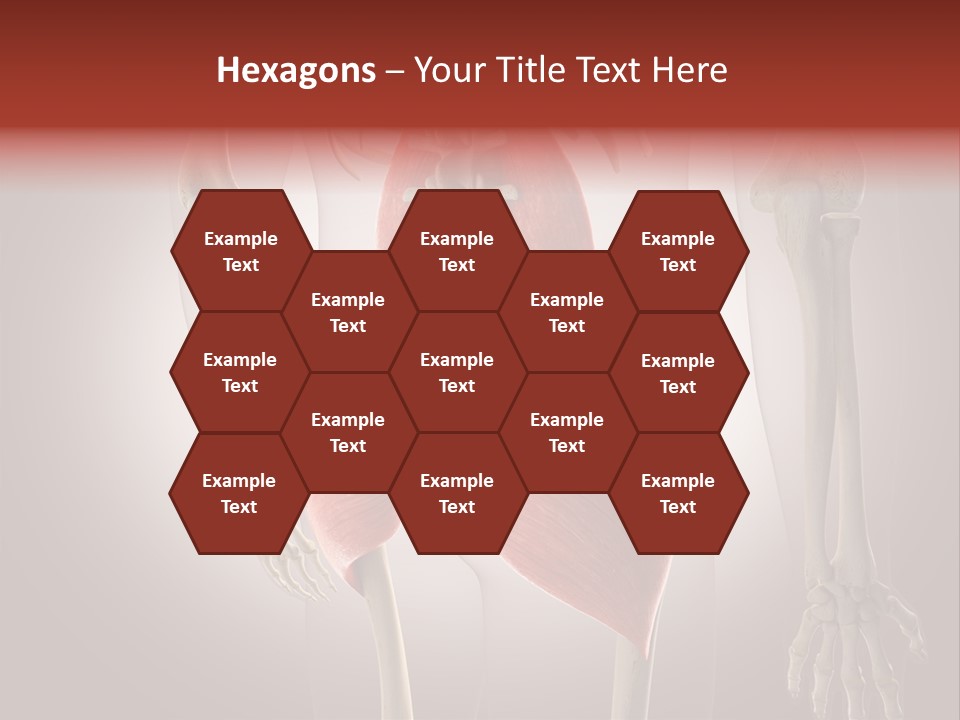 Naked Chest Posture PowerPoint Template