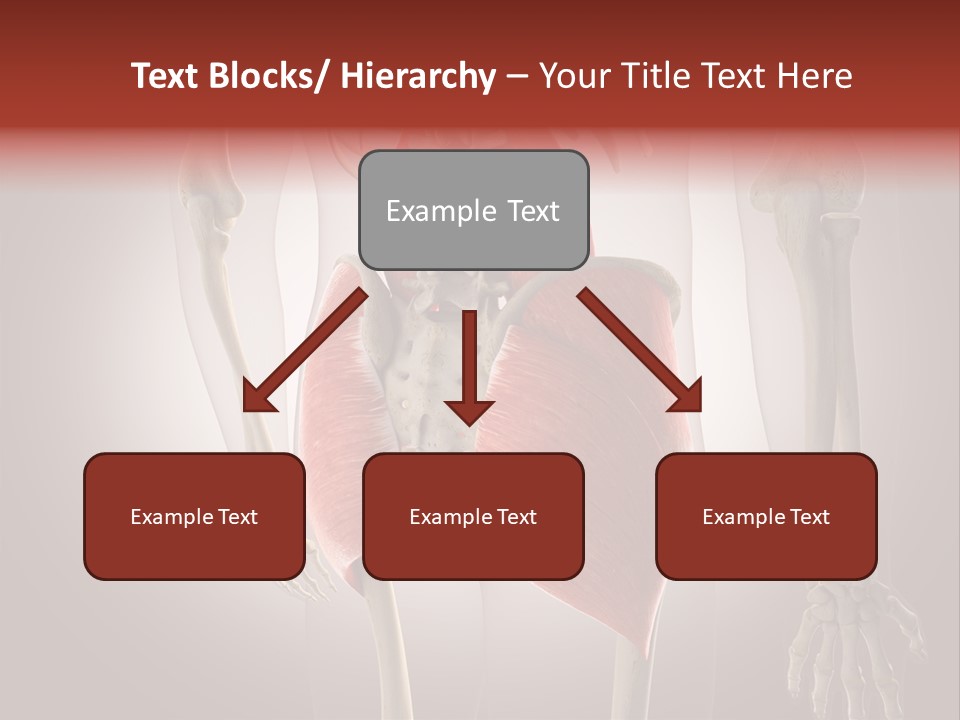 Naked Chest Posture PowerPoint Template