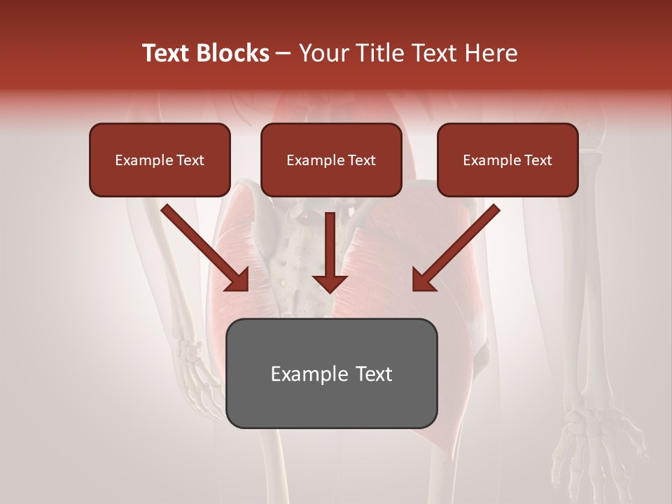 Naked Chest Posture PowerPoint Template