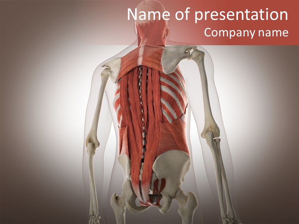 Flesh Angle Isolated PowerPoint Template