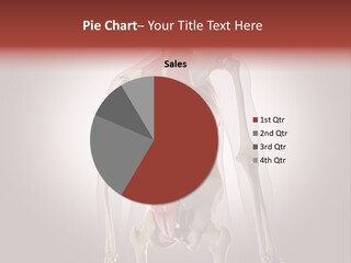 Flesh Angle Isolated PowerPoint Template