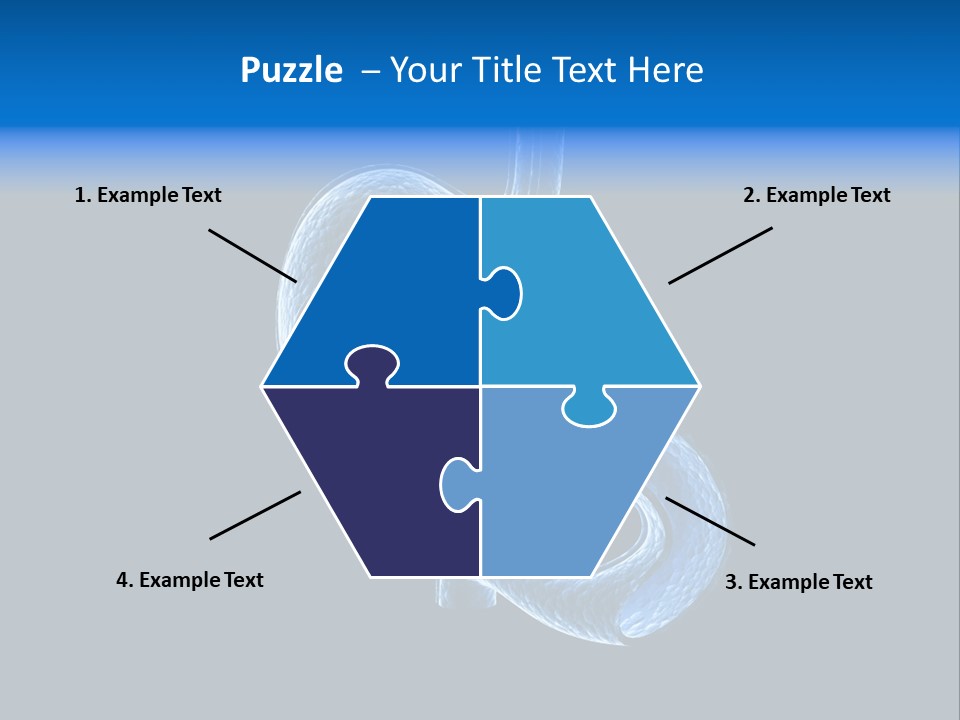 Illustration Texture Anatomy PowerPoint Template