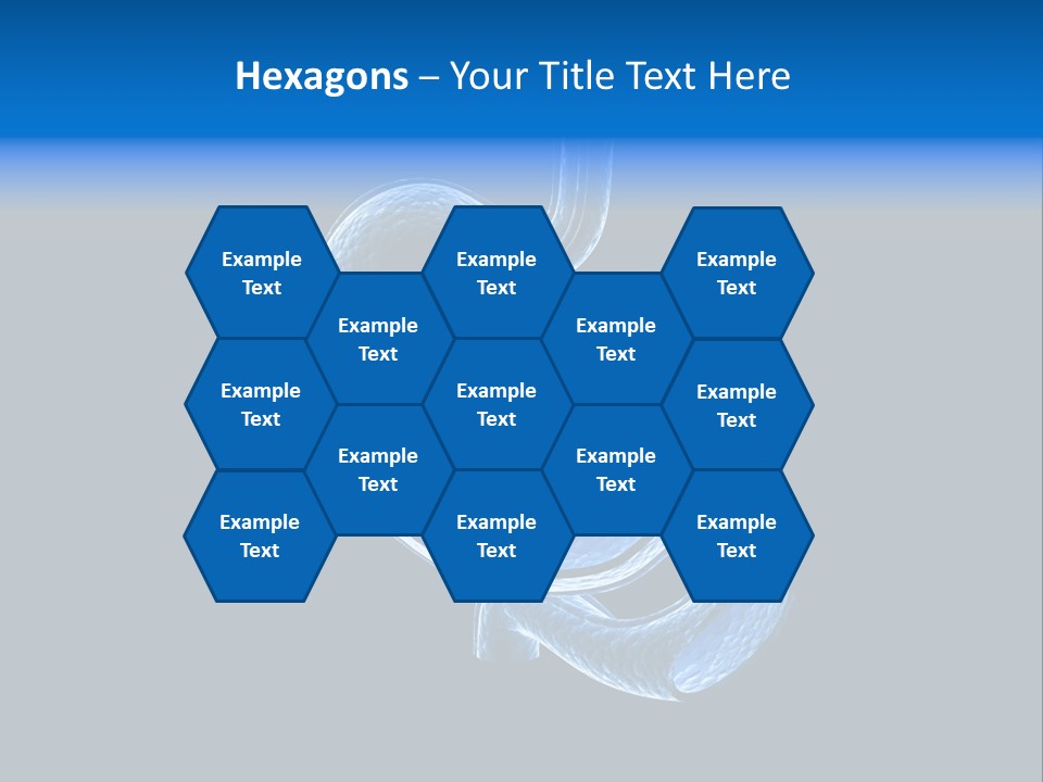 Illustration Texture Anatomy PowerPoint Template