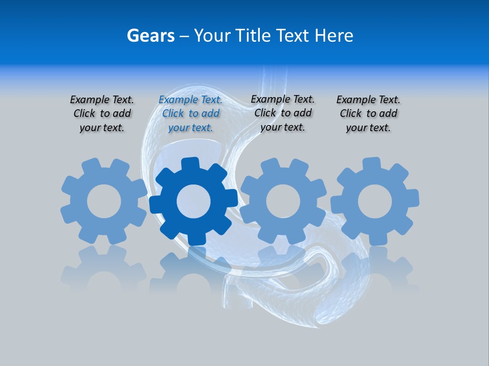 Illustration Texture Anatomy PowerPoint Template