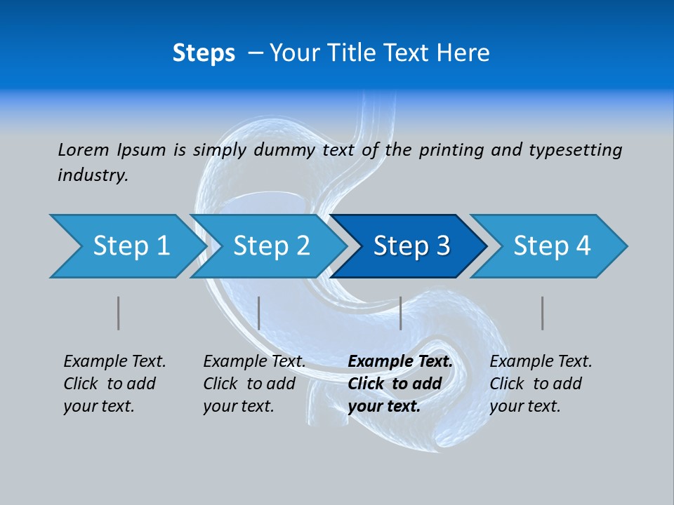 Illustration Texture Anatomy PowerPoint Template